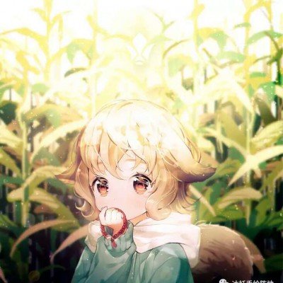 王毅机场迎接普京